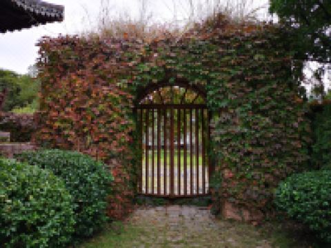 楠溪江耕读小院 - 公共区域