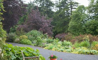 Lough Bawn House