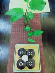 Aidingbao Hotel (Baizitu Plaza Store, Jiangyang District, Luzhou) - Træningscentre