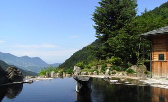 Maguse Onsen Nashinokiso