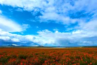 Hot Spring Leisure City International Hotel فنادق في ووداليانتشى