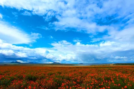 Hot Spring Leisure City International Hotel Отели в г. Удалянчи