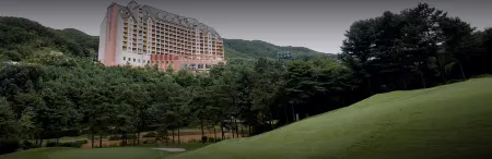 Yangji Pine Resort