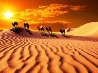 敦煌大漠星光国际沙漠露营基地 - 酒店景观