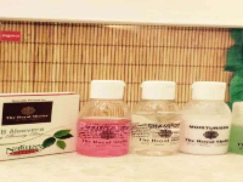 ホテル ロイヤル シェルター バピのホテル