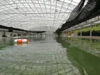 โรงแรมบ่อน้ำพุร้อน ตั่วล่าซานเสิ่น - ที่มีสระว่ายน้ำ