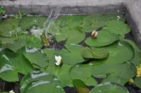 Holy City Homestay (Qufu Sankong Scenic Spot Confucius Temple Shop)