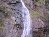 青阳佛慧山珍土菜旅馆 - 酒店景观