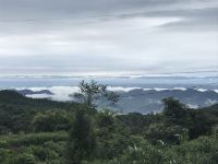 邛崃景逸山庄 - 其他