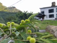 张家界心悟山居度假民宿 - 花园