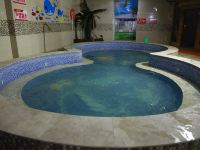 怡莱酒店(临沂河东皇山店) - 室内游泳池