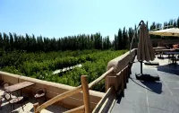 Garden Homestays in Turpan Yar