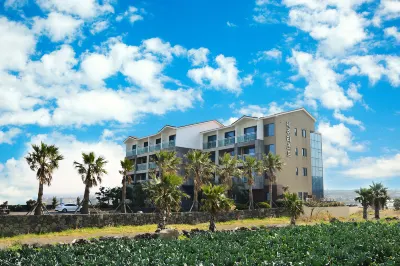 제주리조트 jejuresort 제주 호텔