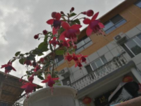 老君山瑞云居民宿 - 酒店外部