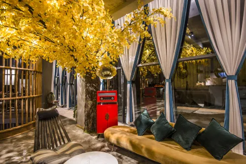 Yuxi Other Homestay