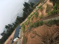 Anxi Qinmei ecological farm - Mountain view
