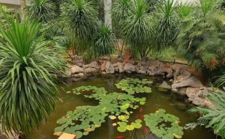 Rushan International Hotel