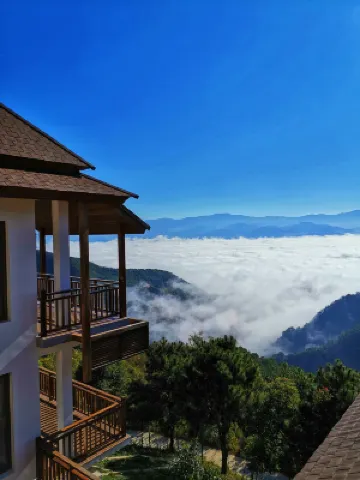 The Nest Tea Estate Resort Hotels in Shuangjiang