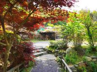 宏村塔川书院 - 花园