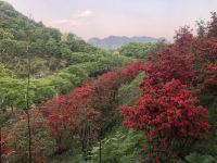 杭州郎山小院 - 酒店附近