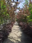Meitan Spend Time Qushui Homestay