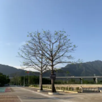 言語雅居（清遠黃騰峽店）