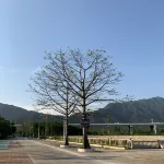 Yanyu Yaju (Qingyuan Huangteng Canyon)