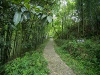 千岛湖仟陌间山野度假民宿 - 花园