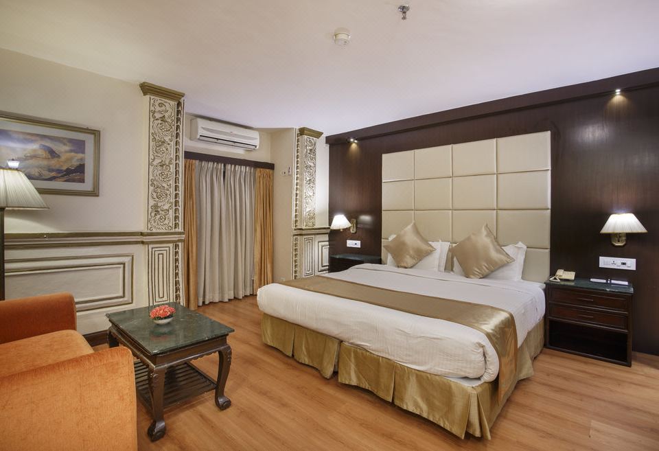 Hotel ShankerOver view