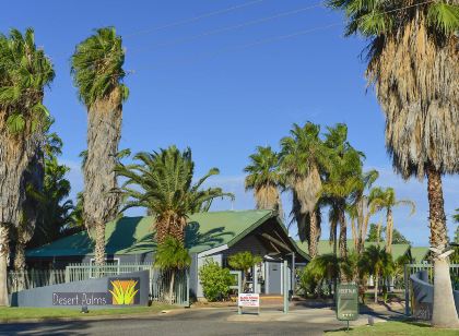 Desert Palms Alice Springs