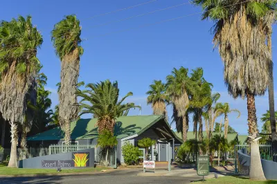 Desert Palms Alice Springs