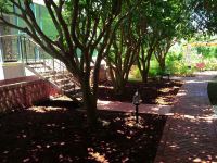涠洲岛宁静花园海景酒店 - 公共区域