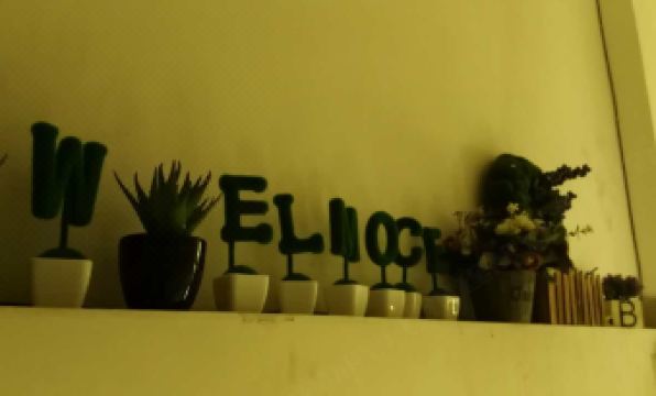 Radish Youth Hostel (Guangzhou Xiguan Store)