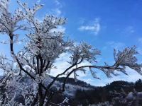 浙西大峡谷山味人家民宿 - 酒店附近