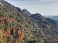 武当山太极别院 - 酒店景观