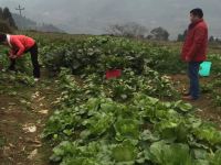 张家界青岩闲居民族特色客栈 - 酒店附近