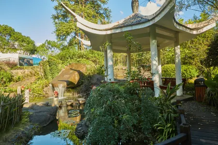 武夷山悅華ホテル（印象大紅袍）