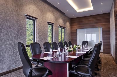 会議室 グランド イオン デリーマン ホテルの写真