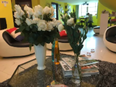 Lemon Tree Youth Hostel