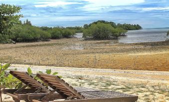 Walai Penyu Conservation Park