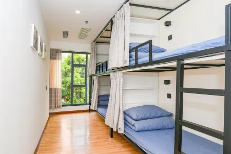 Dengba Inn&Youth Hotel （Shenzhen Futian Convention and Exhibiton Center Store ）
