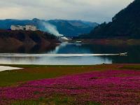 遂昌玉茗山居民宿