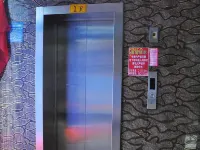 撫遠隨心商務賓館 撫遠酒店