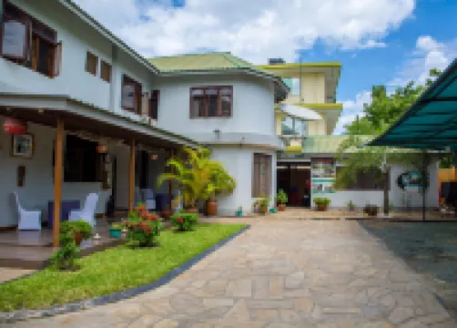 雛菊舒適旅館 酒店