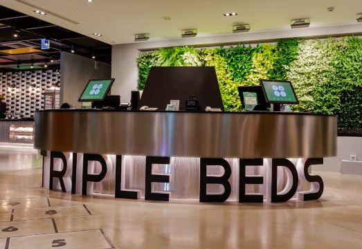 그린 월드 트리플 베드 썸네일