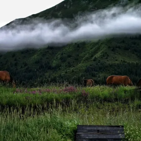 Shandan Army Horse Farm Huaixi Holiday Town