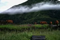 Shandan Army Horse Farm Huaixi Holiday Town - vue sur la montagne
