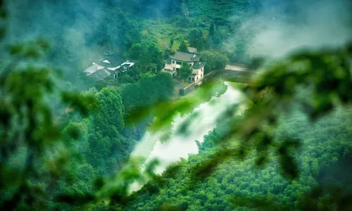 Hangzhou Lin'an Tan Xingu Homestay