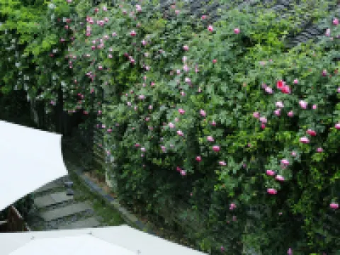 Yuzhan Hotel Hotels in Lanxi
