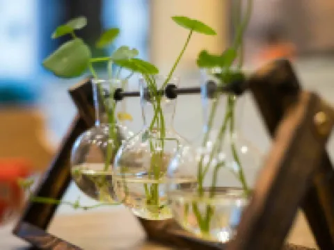 Hengtong Hotel (Fangchenggang Administration Center) Hotels in Fangchenggang